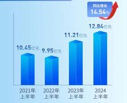 王力安防2024年半年度报告